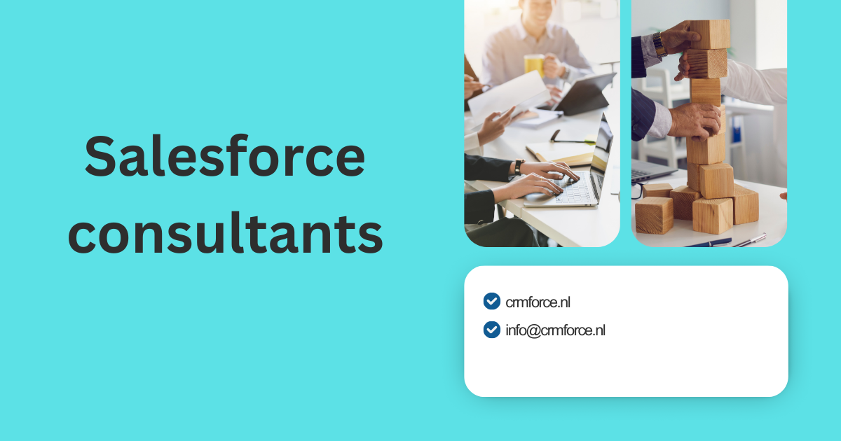 Salesforce consultants