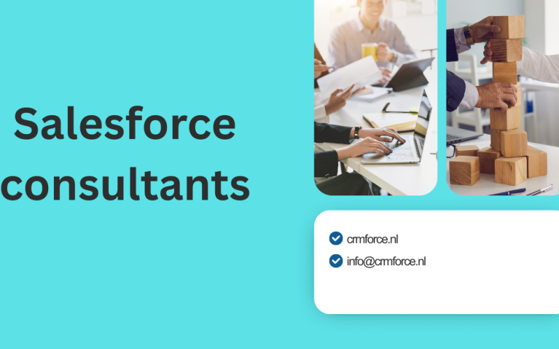 Salesforce consultants